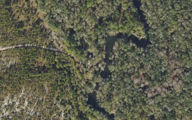 Aerial photo of the area around Aucilla River Mile 17.6 - Jone's Mill Creek Primitive Boat Access - Jones Mill Creek Tract, Jefferson County