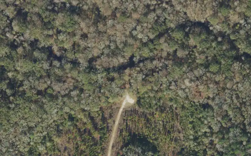 Aerial photo of the area around Aucilla River Mile 40 - Cuba Bay Tract Primitive Canoe Access West, Madison County