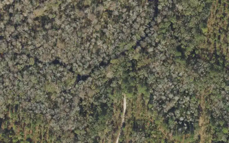 Aerial photo of the area around Aucilla River Mile 41 - Cuba Bay Tract Primitive Canoe Access East, Madison County