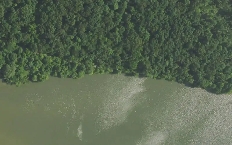 Aerial photo of the area around Barnett Bay - LBL, Lyon County