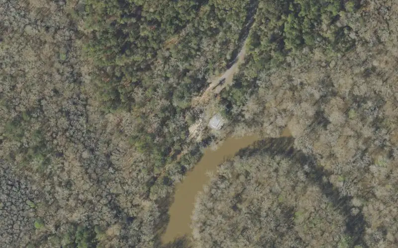 Aerial photo of the area around Berrian Lake Landing I (aka. Coon Bottom Landing), Walton County