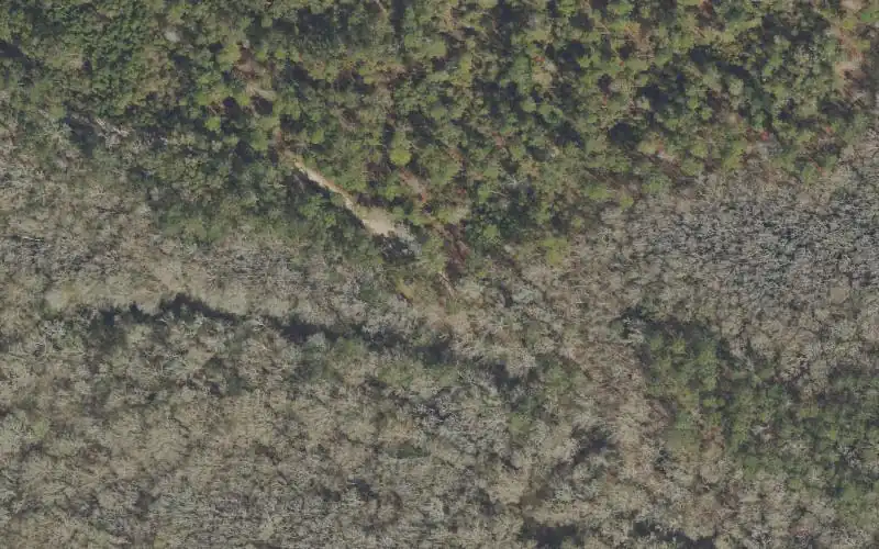 Aerial photo of the area around Bruce Creek Landing Public Boat Ramp (aka Camp House Landing), Walton County