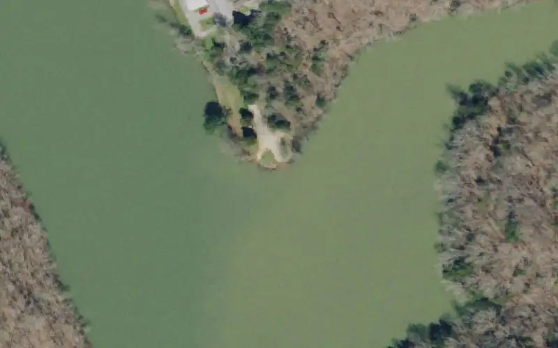 Aerial photo of the area around Bunch Hollow , Claiborne County