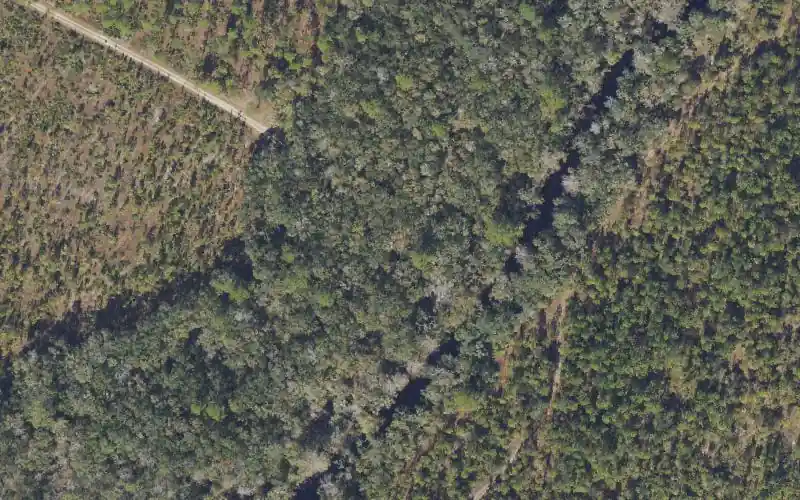 Aerial photo of the area around Econfina River Mile 10.2 - Canoe Access - Loughridge Road South, Taylor County