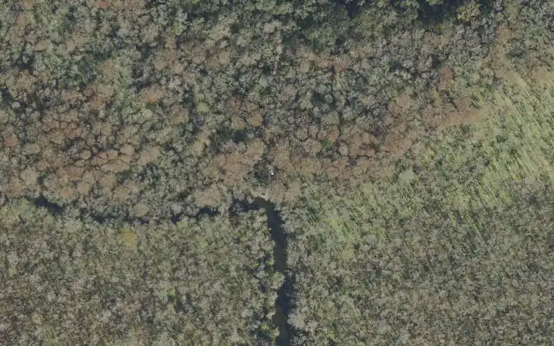 Aerial photo of the area around Flat Island Preserve Canoe Launch, Lake County