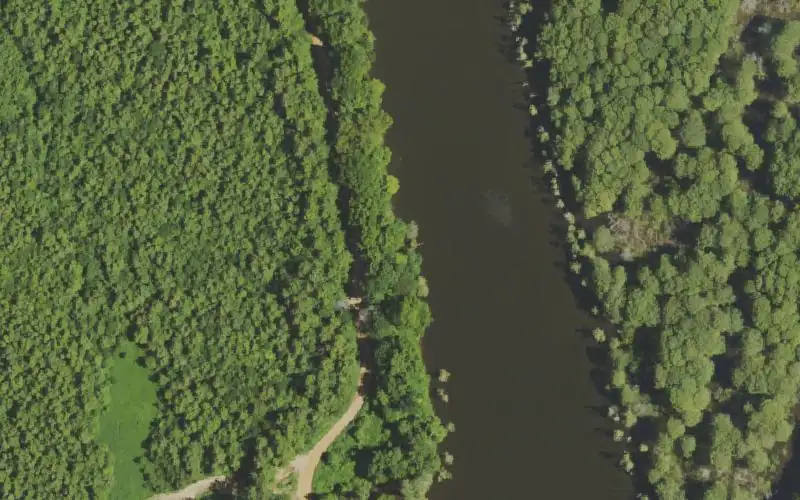 Aerial photo of the area around Forked Lake, Carlisle County