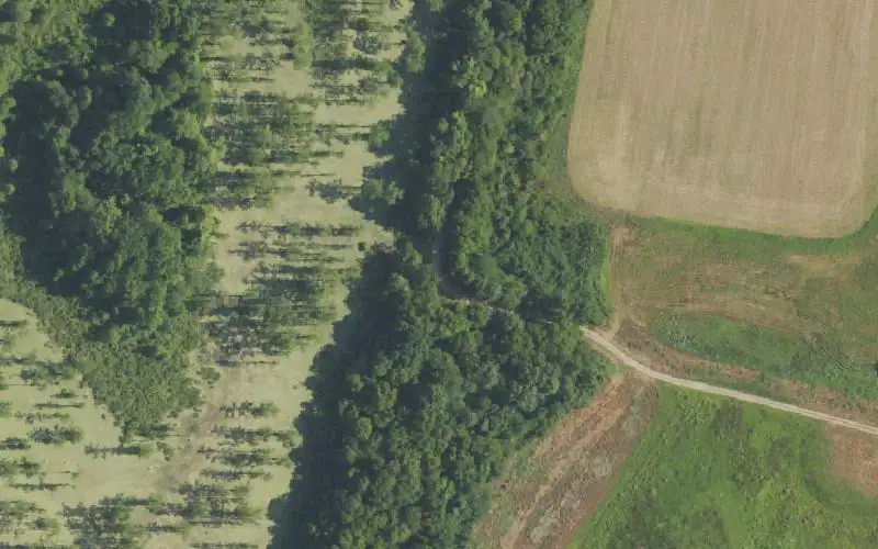 Aerial photo of the area around Gentle Pond, Henderson County