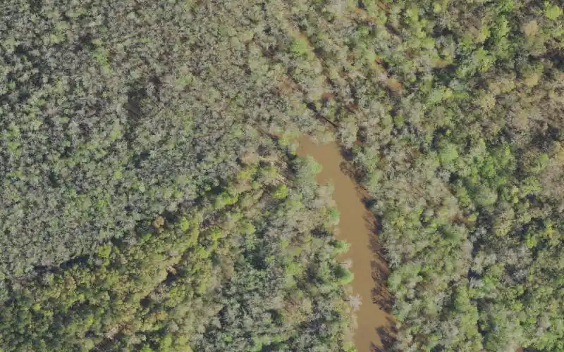 Aerial photo of the area around Little Williams Landing (Small Boats Only), Escambia County