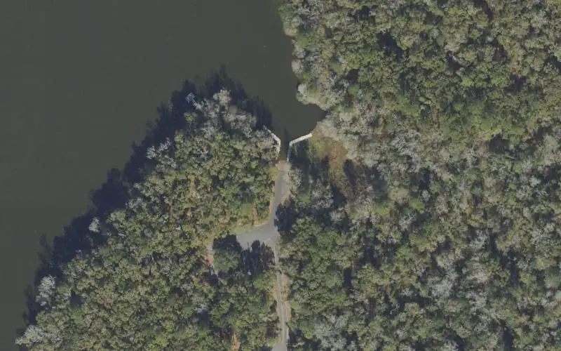 Aerial photo of the area around Luther Hall Landing, Leon County