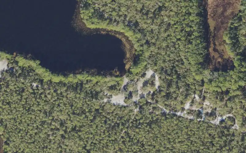 Aerial photo of the area around Ocala National Forest - Grasshopper Pond Primitive  Access Southeast (4x4 Only), Lake County