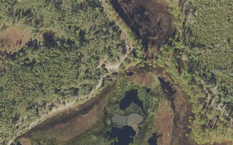 Aerial photo of the area around Ocala National Forest - Ocala Pond Primitive Boat Ramp, Marion County