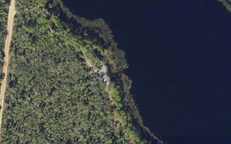 Aerial photo of the area around Ocala National Forest - Trout Lake Primitive Boat Launch, Marion County