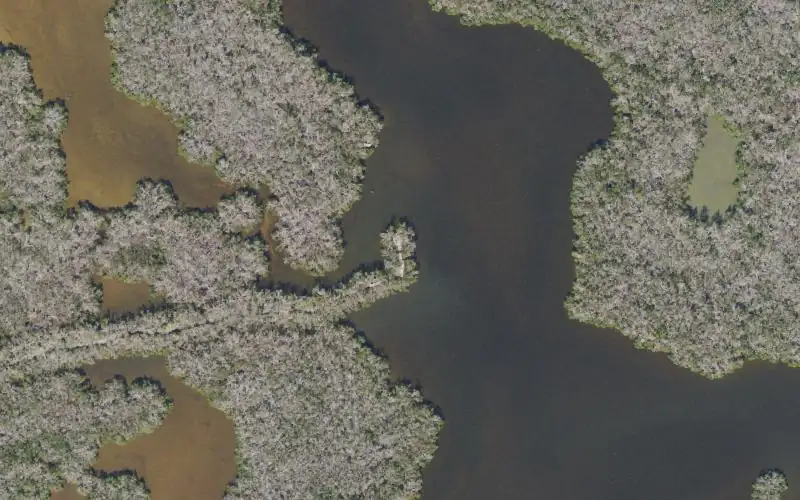 Aerial photo of the area around St. Jude Nature Trail - St. James Creek Preserve - Kayak Access (Long Portage), Lee County