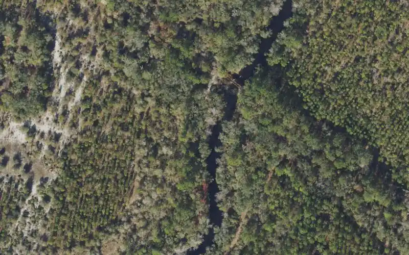 Aerial photo of the area around Steinhatchee Conservation Area River Mile 14.4 Canoe Access (rail road testle), Dixie County
