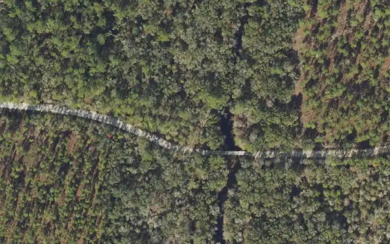 Aerial photo of the area around Steinhatchee Conservation Area South Canal Road Canoe Access, Lafayette County