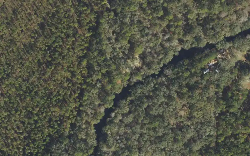 Aerial photo of the area around Steinhatchee Falls Tract Upstream Canoe Launch, Taylor County