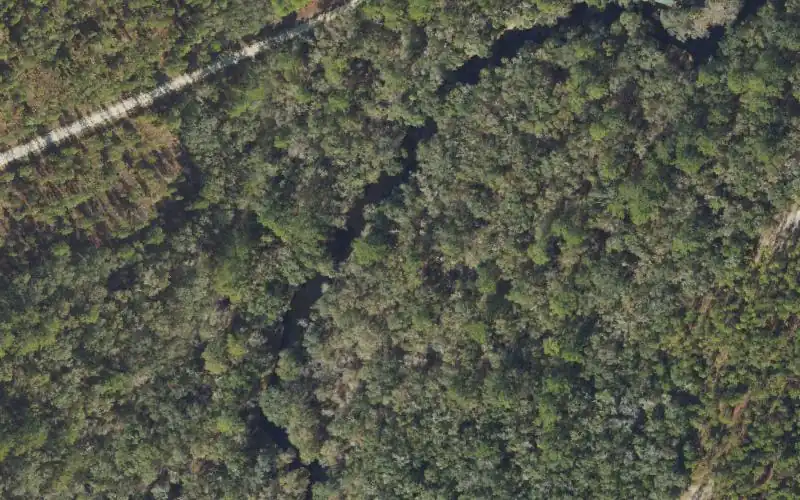 Aerial photo of the area around Steinhatchee Rise Tract Canoe Launch 2, Taylor County