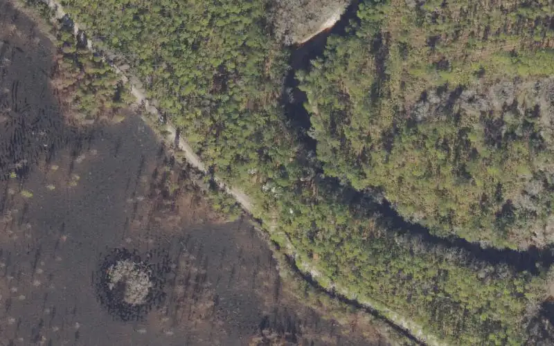 Aerial photo of the area around Tate's Hell State Forest - New River Camp #8 Canoe Access, Franklin County