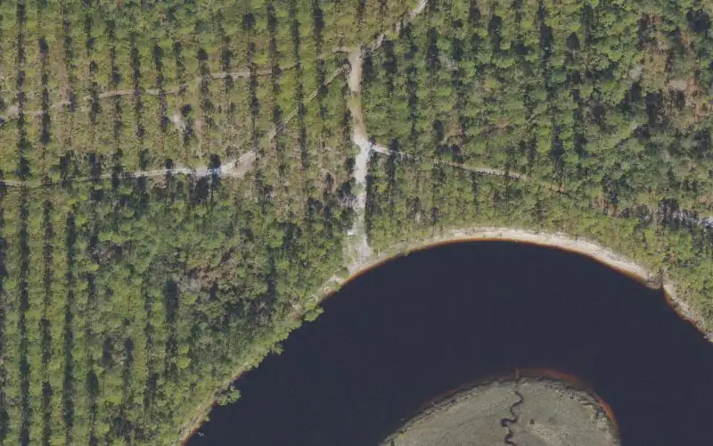Aerial photo of the area around Tate's Hell State Forest - Warren Bluff Camp Canoe Access, Franklin County