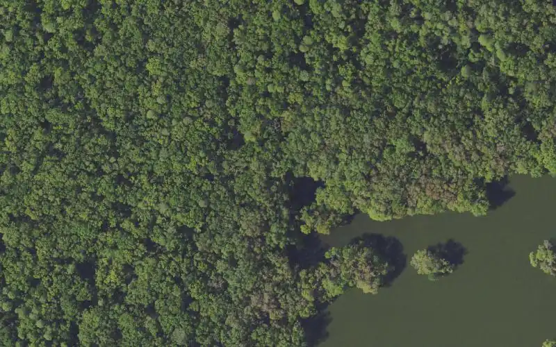 Aerial photo of the area around Tenoroc FMA - Lost Lake West - Hand Launch Site, Polk County