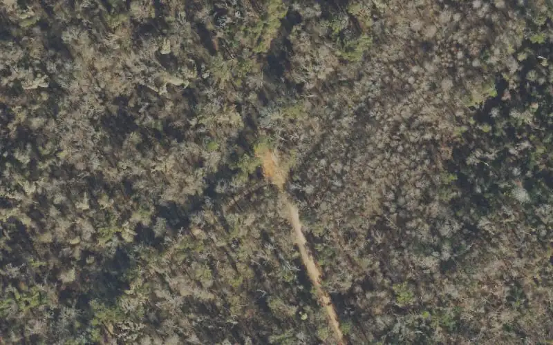 Aerial photo of the area around Torreya State Park - Aspalaga Road Boat Ramp (Small Boats Only), Gadsden County