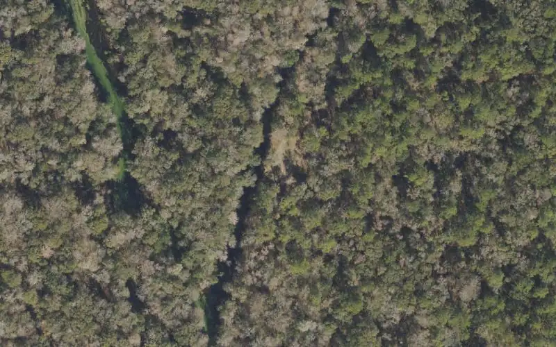 Aerial photo of the area around Welaunee Landing Gravel Boat Ramp - Aucilla Wildlife Management Area (Small Boats Only), Jefferson County